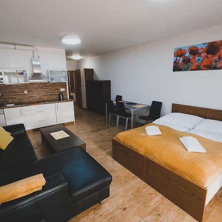 Apartman Max Lipno リプノ・ナト・ヴルタヴォウ エクステリア 写真