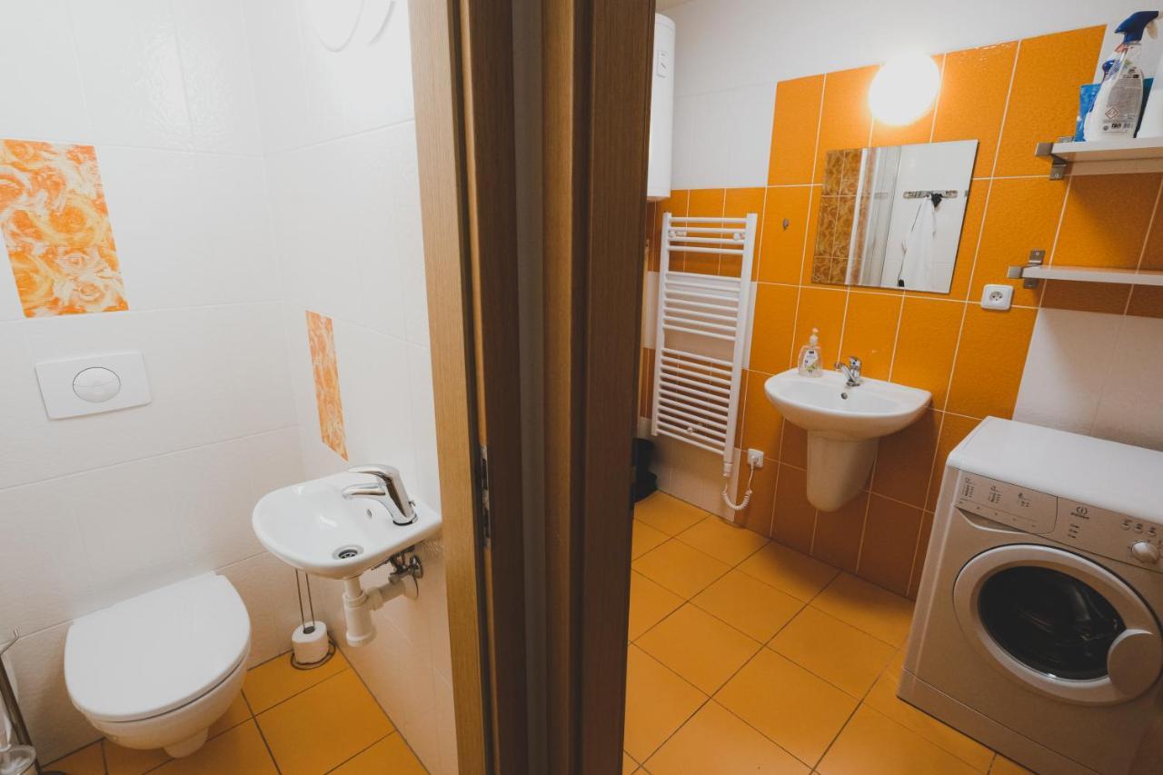 Apartman Max Lipno リプノ・ナト・ヴルタヴォウ エクステリア 写真